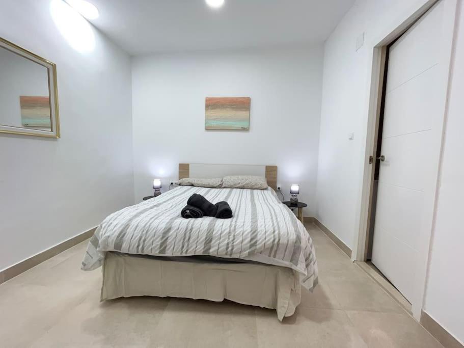 Carpediem Apart Terraza-Atico Alicante Center Dış mekan fotoğraf