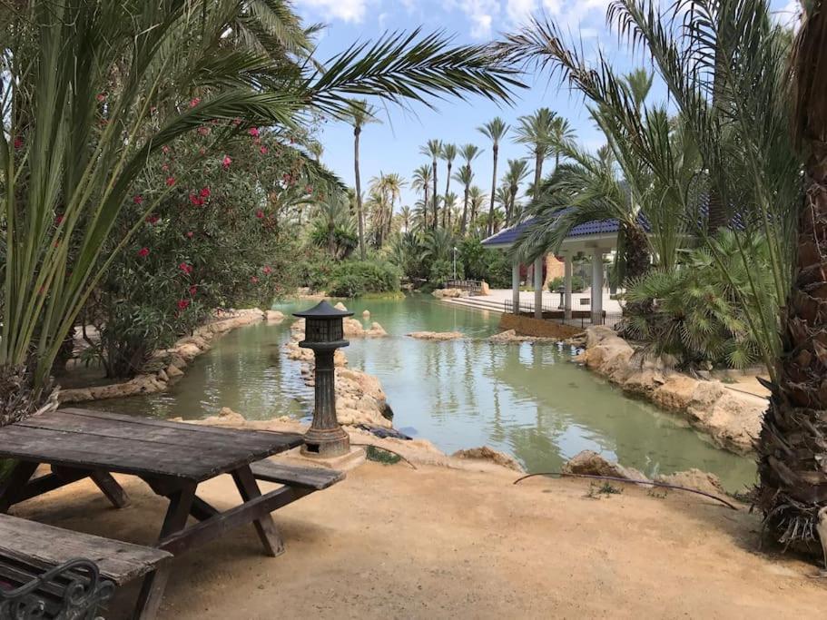Carpediem Apart Terraza-Atico Alicante Center Dış mekan fotoğraf